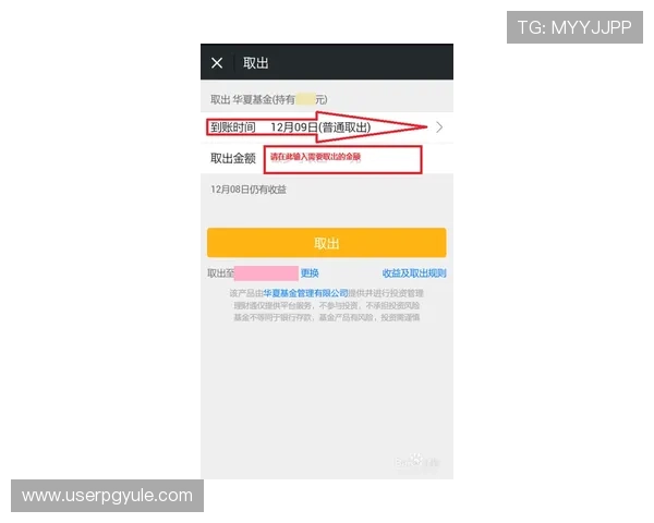 DG视讯平台的支付方式与提现流程详解让你轻松资金管理